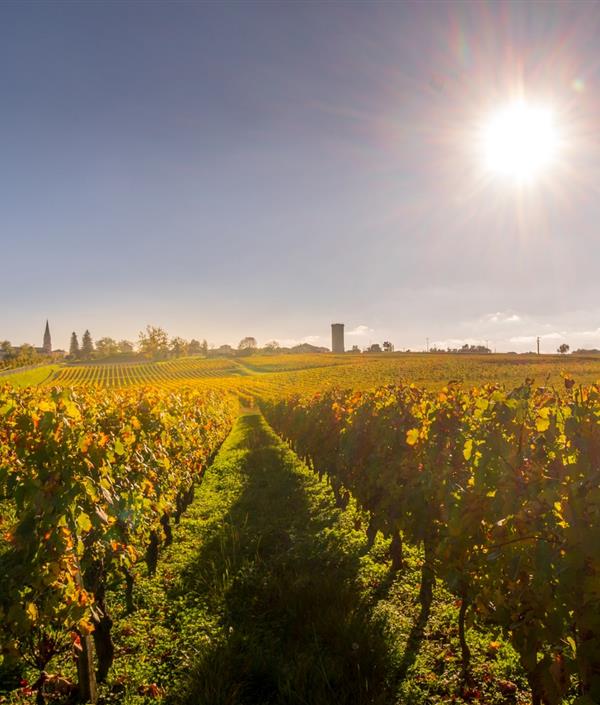 Visite de vignoble a Bordeaux - Hôtel de Sèze